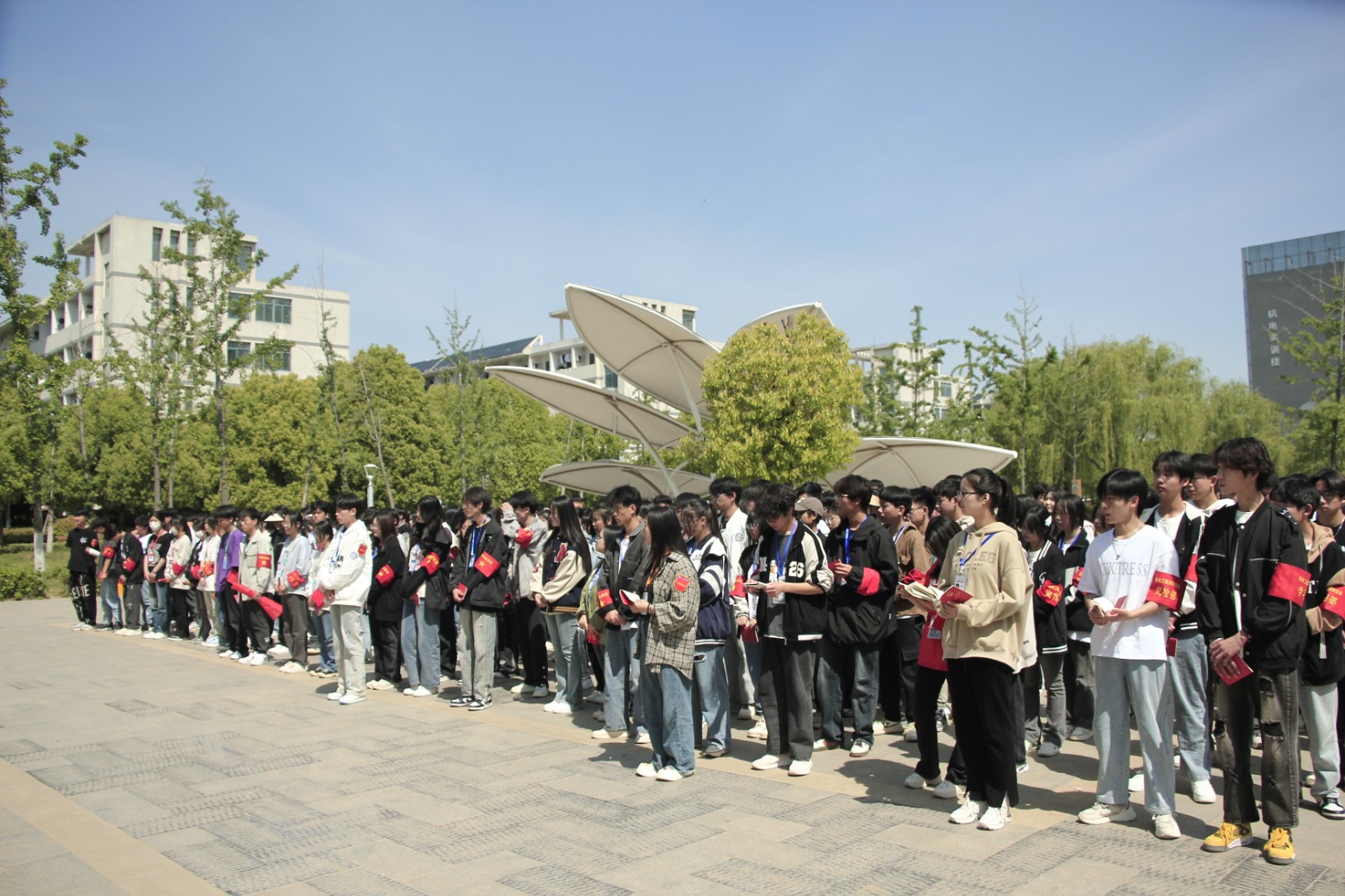 _MG_0016.JPG